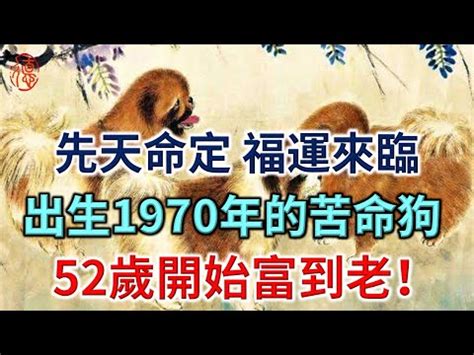 屬狗姓名女1970|1970年是什麼生肖？70年生人命運如何？五行屬釵釧。